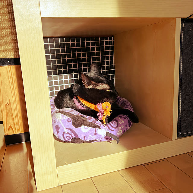 suemonta14さんの部屋