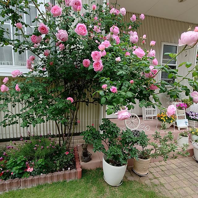 fleur-mamanさんの実例写真
