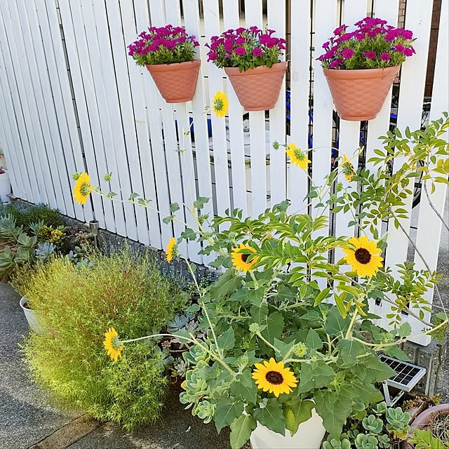 VERANDARJUNさんの実例写真
