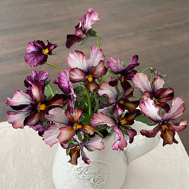 shiropenguinさんの部屋