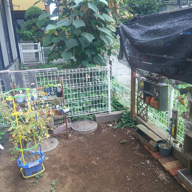 mikippeさんの実例写真