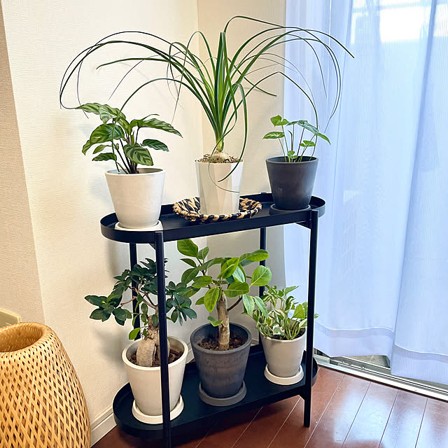 shidakaさんの実例写真