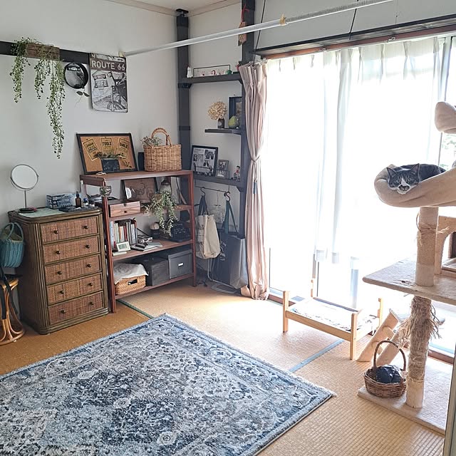 shinoさんの部屋