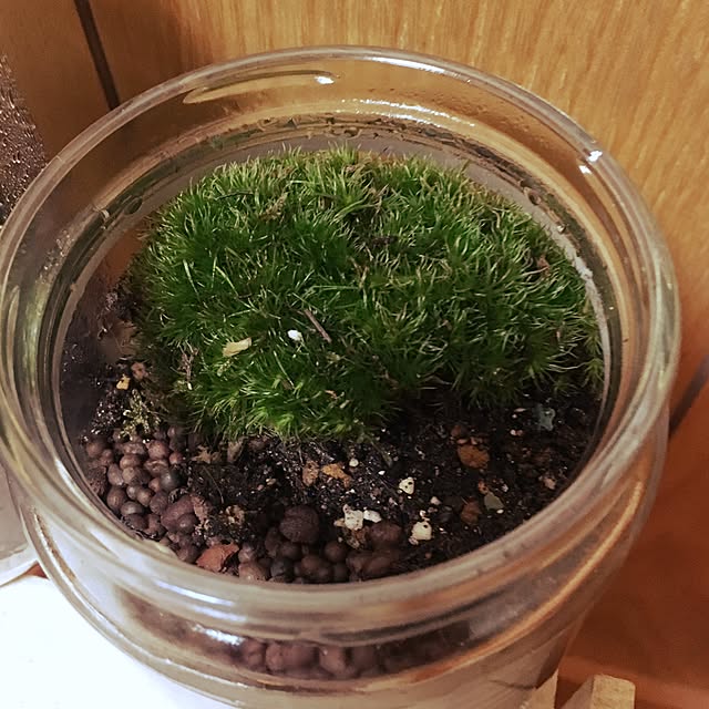 CHIROさんの実例写真