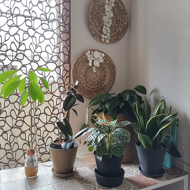 miwaさんの部屋