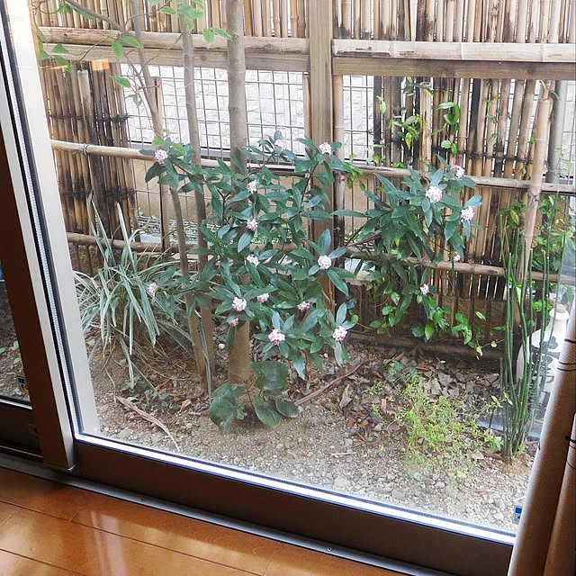 yasu10さんの実例写真