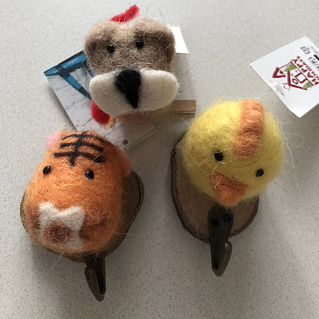 実例写真