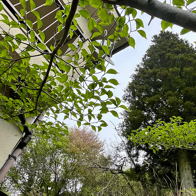 cotaさんの部屋