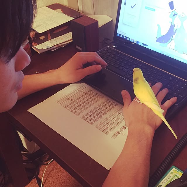 torihanaさんの実例写真