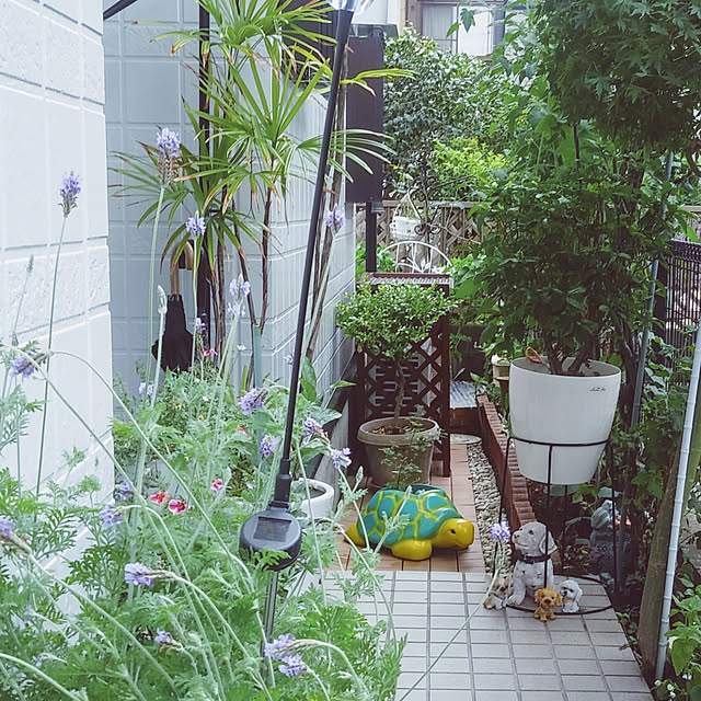 sacchanさんの実例写真