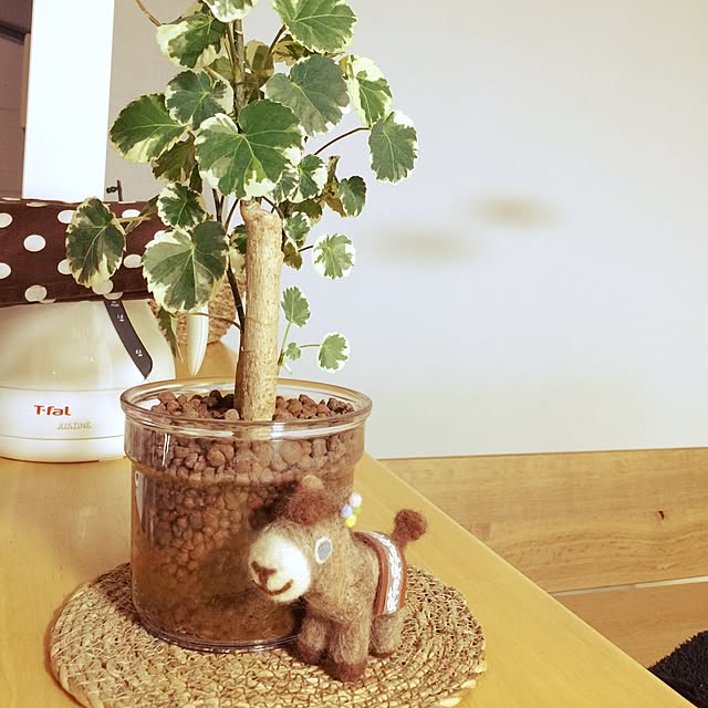 Rさんの実例写真