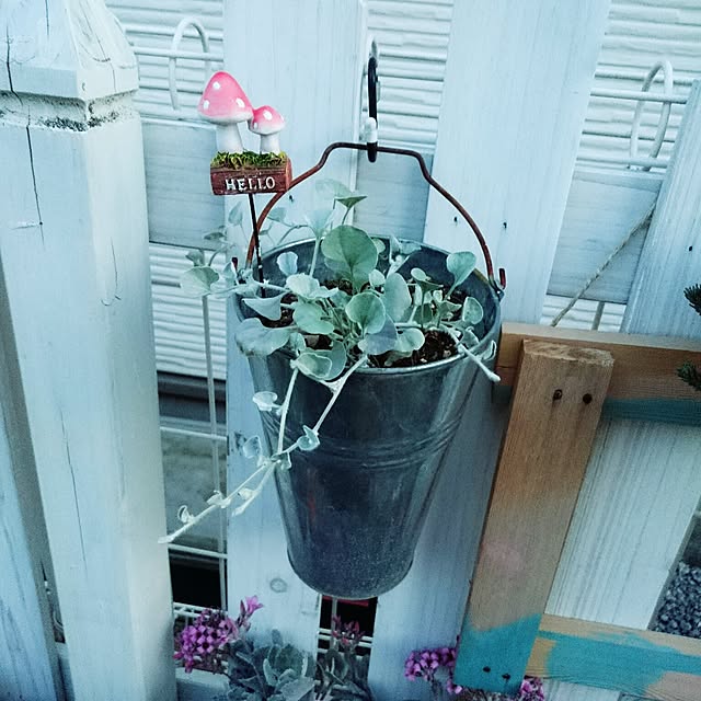 tomomakiさんの実例写真