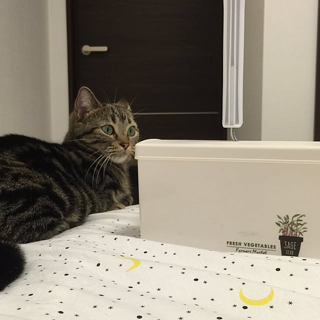 neuruさんの実例写真