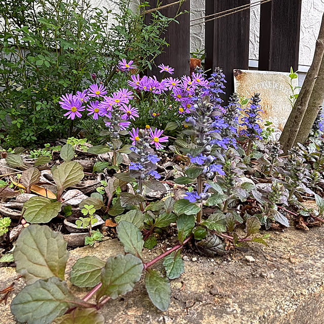 madeleineさんの実例写真