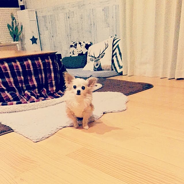 anny_minkさんの実例写真