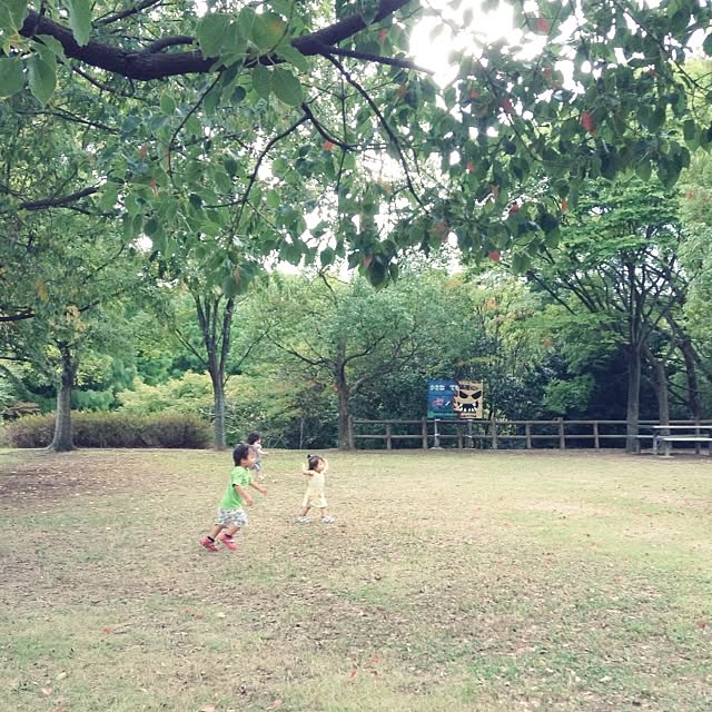 studio-fleurさんの実例写真