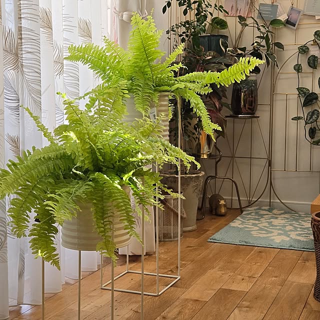 nonbiri_house_さんの実例写真