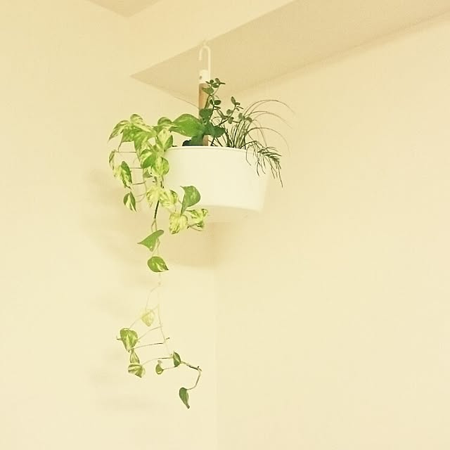 moooottttyさんの実例写真