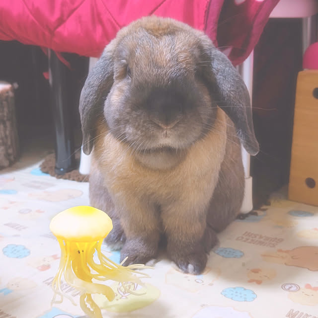 mariaさんの実例写真
