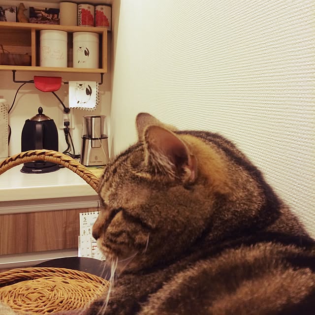 mikomaruさんの実例写真