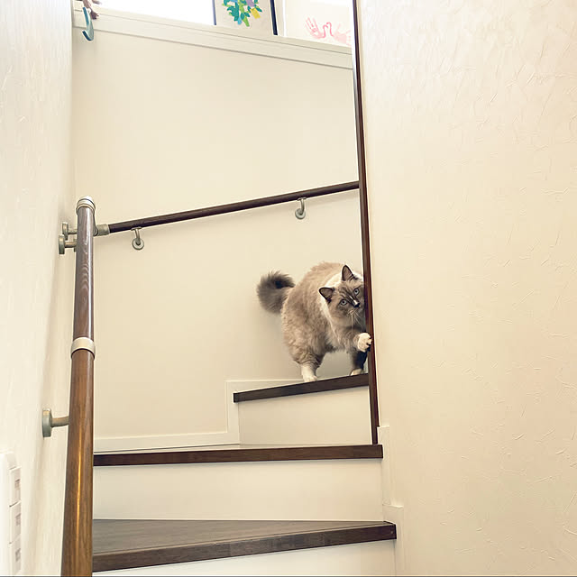 ne-coさんの実例写真