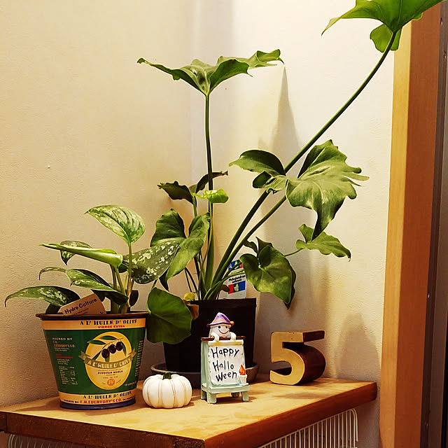 shimaさんの実例写真