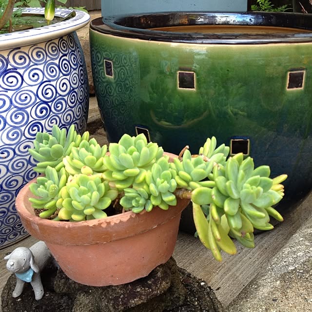 botanさんの実例写真