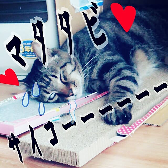 Chomeakiさんの実例写真