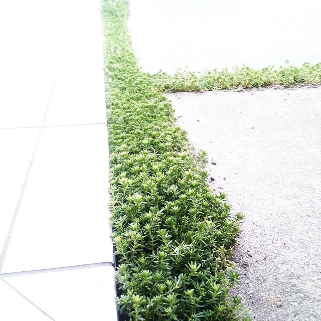 VERANDARJUNさんの実例写真