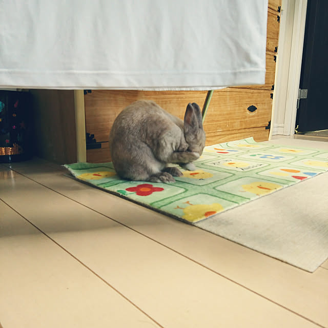 miru-neさんの実例写真