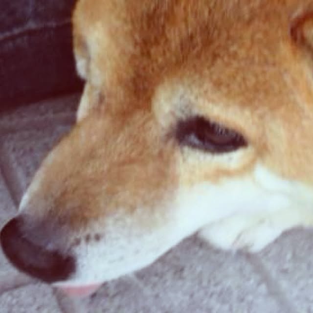 yukiさんの実例写真