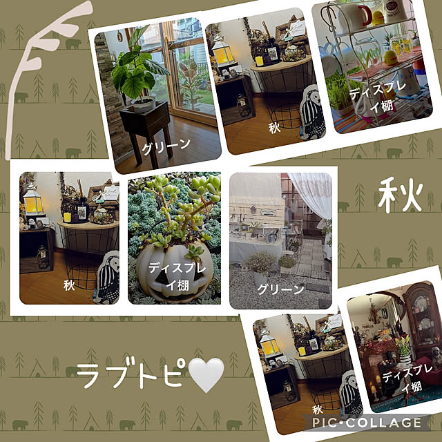 CoCo0617さんの実例写真