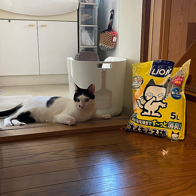 nobikoさんの実例写真