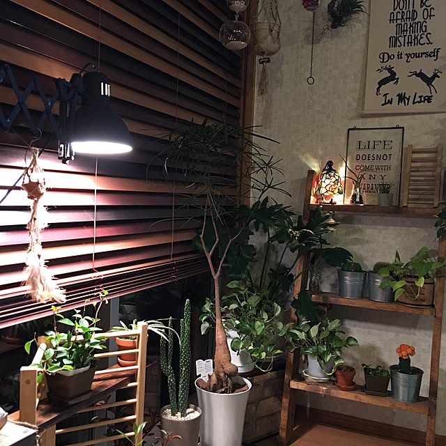 ANNAさんの実例写真