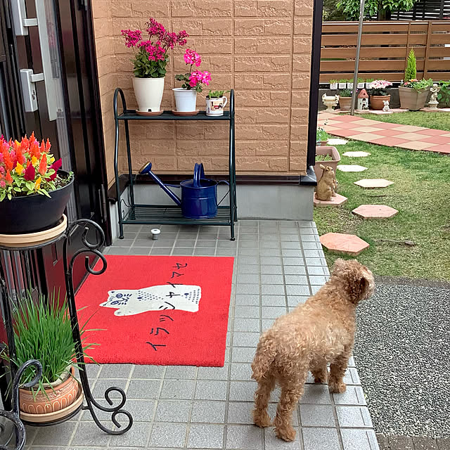 haruminさんの実例写真