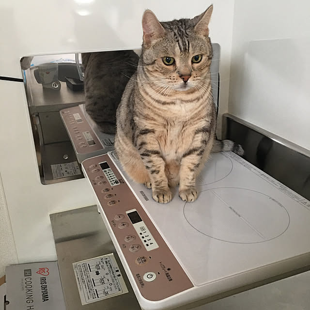 hanachanさんの実例写真