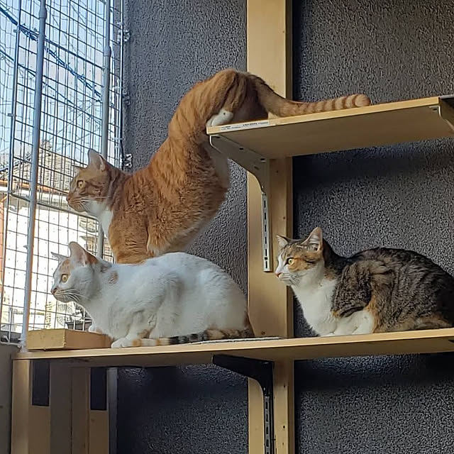 hiroさんの実例写真