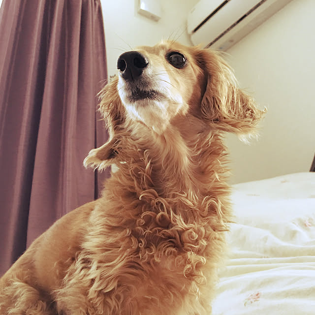 YUKARIさんの実例写真