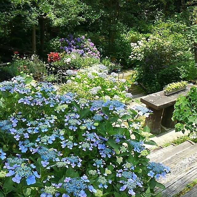 natuさんの実例写真