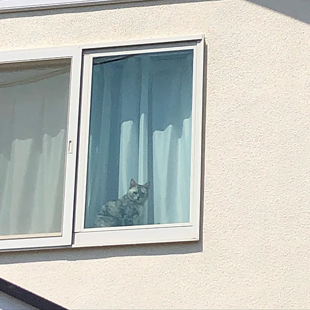 ayuchiさんの実例写真
