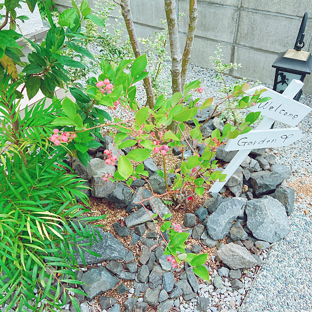 fumofumoさんの実例写真