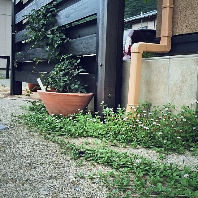 kurumin5さんの実例写真