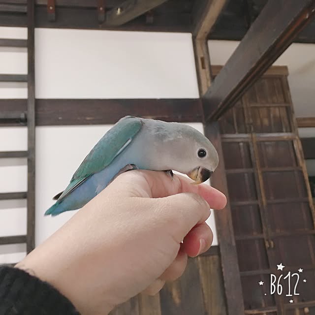 yuki.ni_tsuさんの実例写真