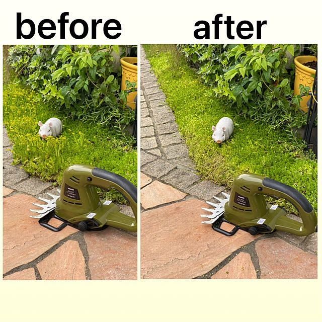 kurumeruさんの実例写真