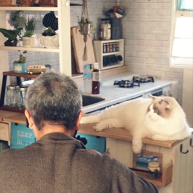 runtenさんの実例写真