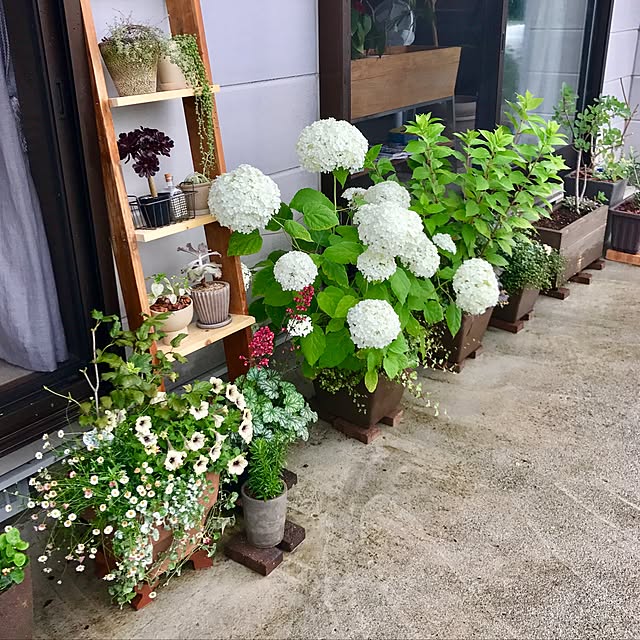 acchanさんの実例写真