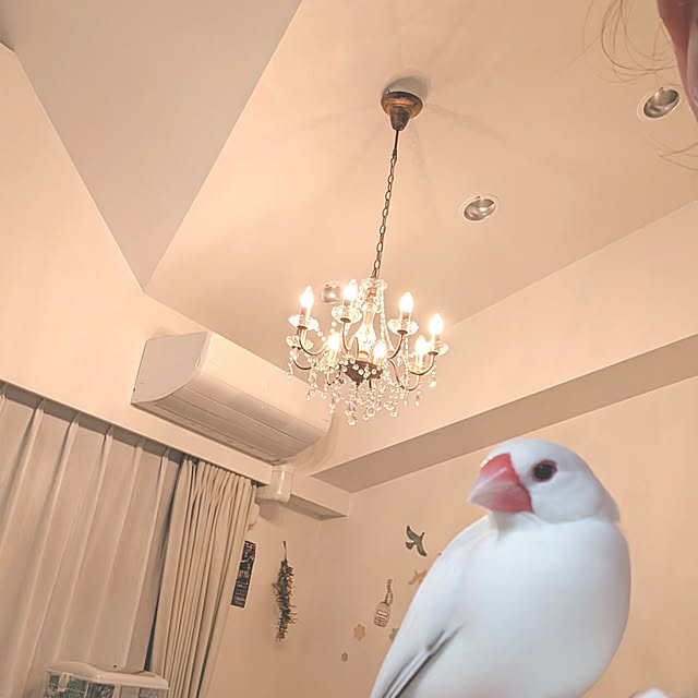 Yoshi55goさんの実例写真