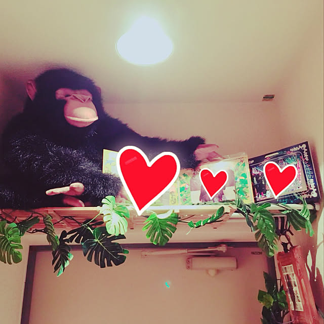 MEAGARAさんの実例写真
