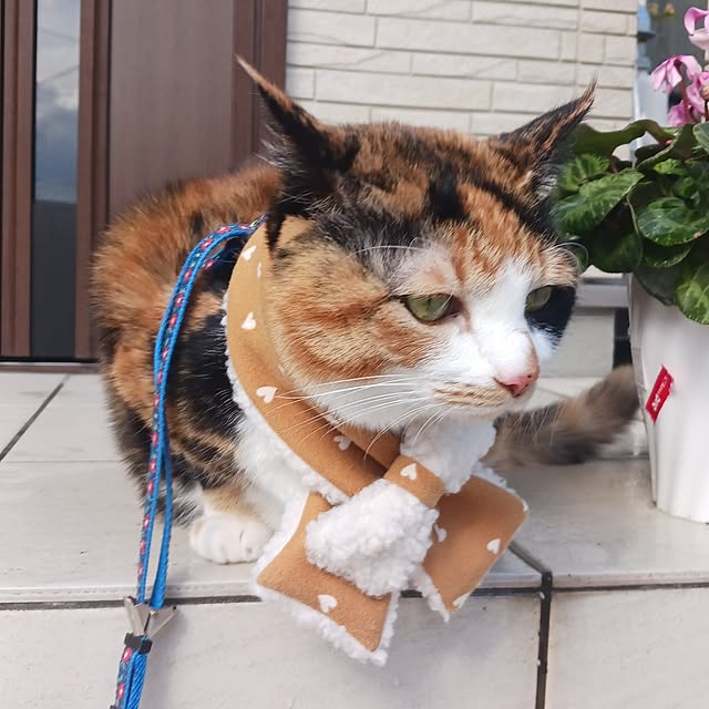 aiさんの部屋