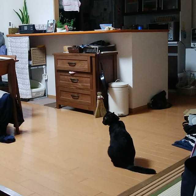 ikupom0715さんの実例写真